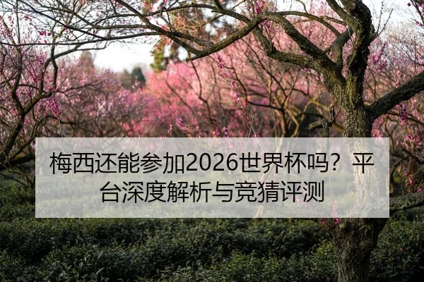 梅西还能参加2026世界杯吗？平台深度解析与竞猜评测